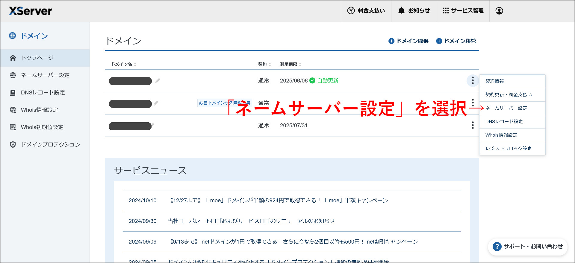 ネームサーバー設定を選択