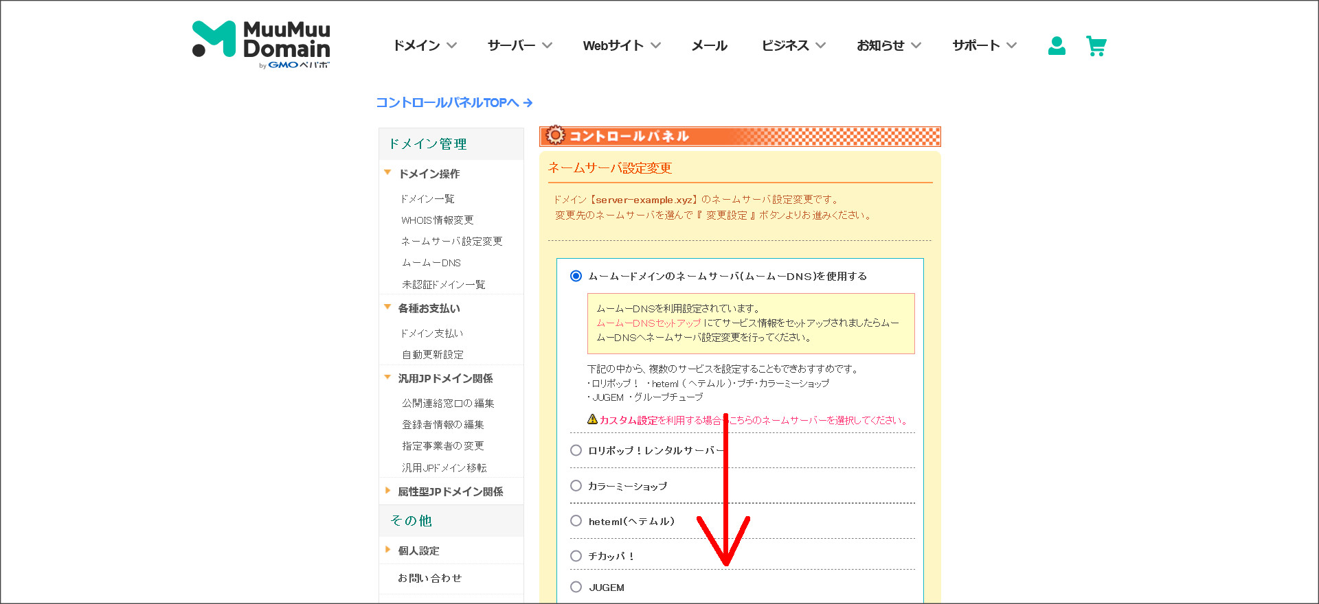 ムームードメインのネームサーバ設定画面